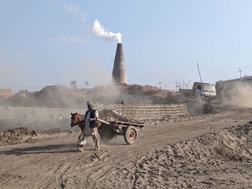 Cart equine with handler returning from the kiln